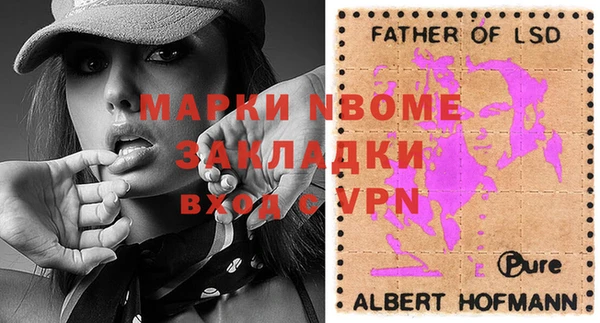 стаф Аркадак