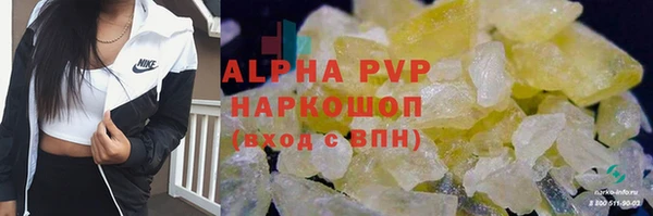 spice Арсеньев