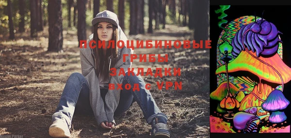 стаф Аркадак