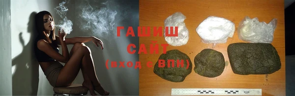 стаф Аркадак