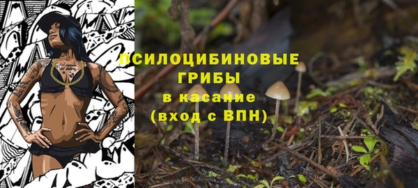 spice Арсеньев