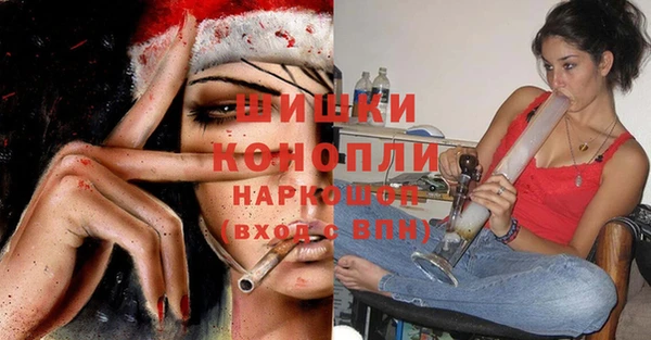 стаф Аркадак