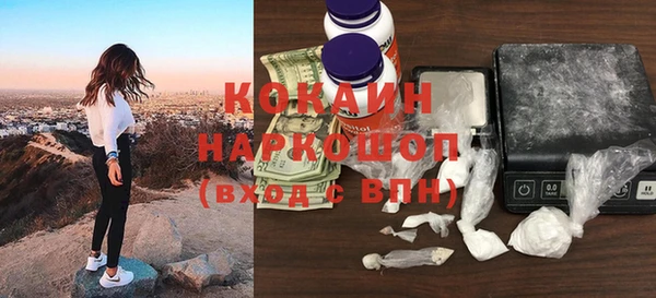 стаф Аркадак
