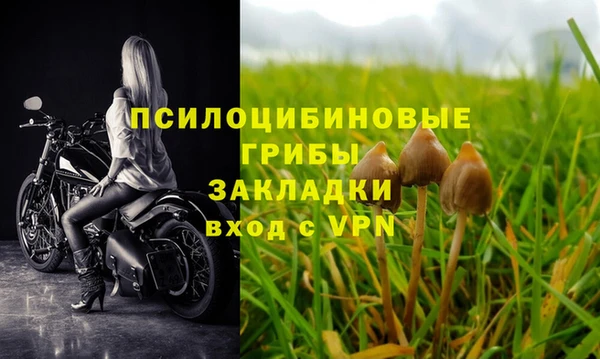 spice Арсеньев