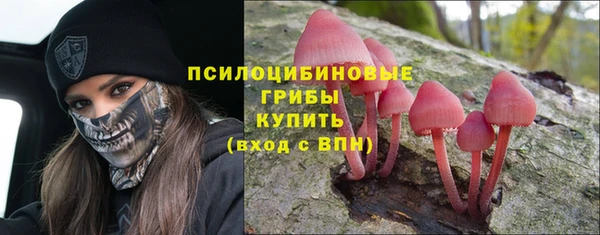 спиды Армянск