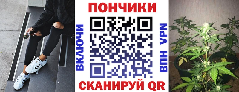 darknet телеграм  Кемь  Бошки Шишки OG Kush 